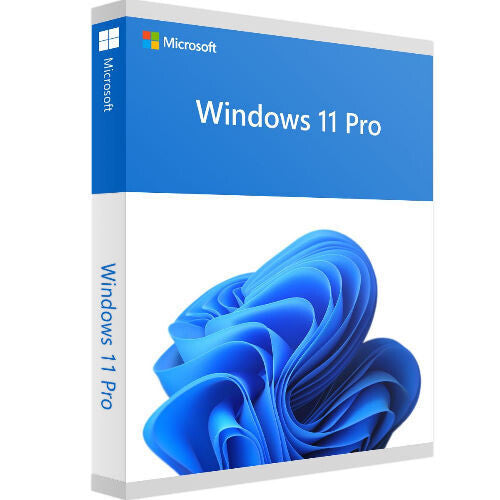 Windows 11 Professional